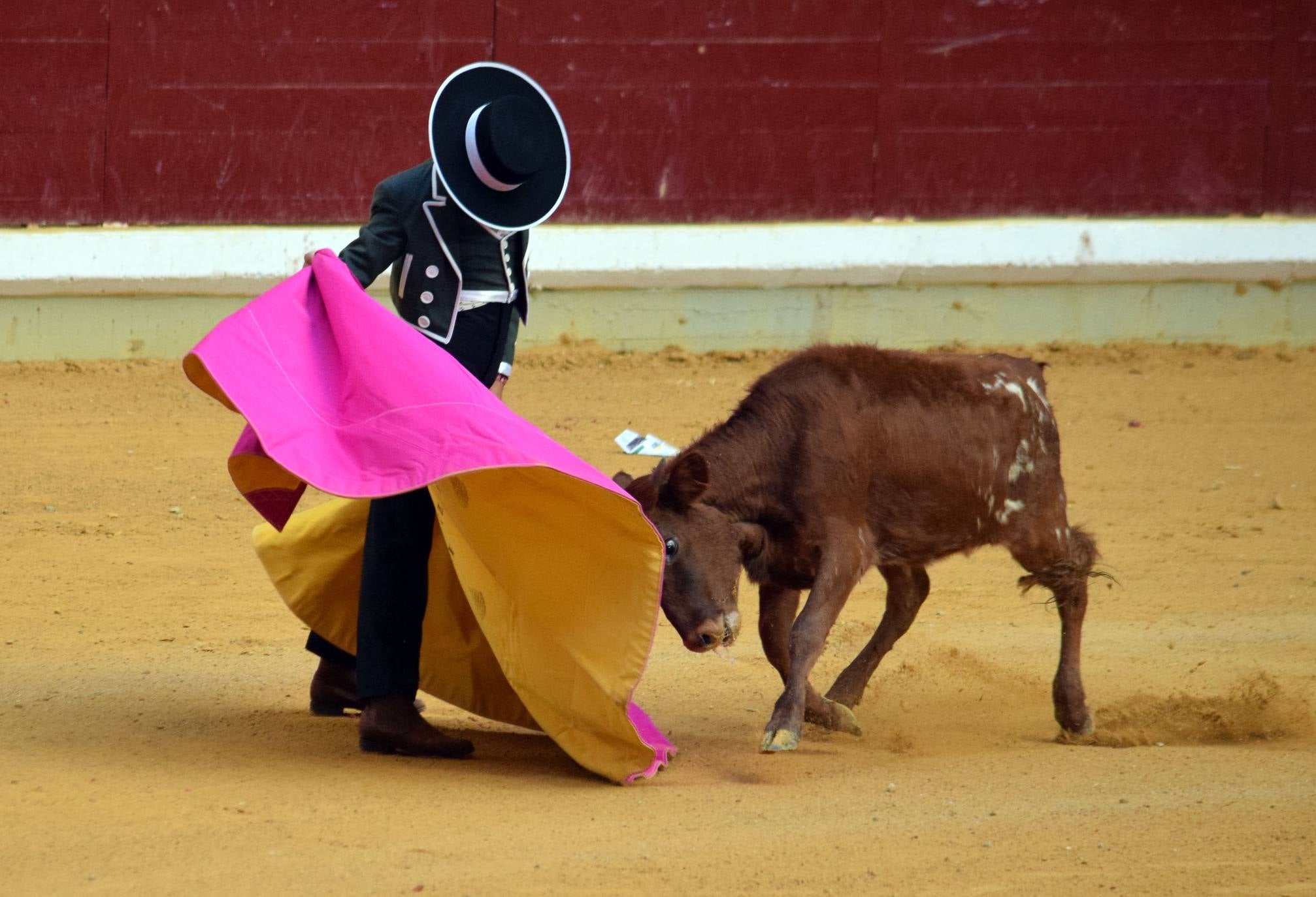 Fotos: Jueves de vaquillas en La Ribera