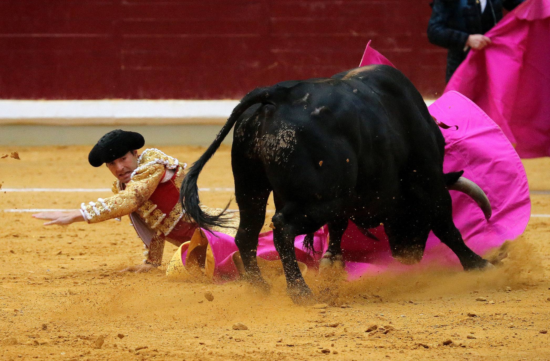 Quinta de la Feria de San Mateo con 'El Cid', Adame y Juan Leal