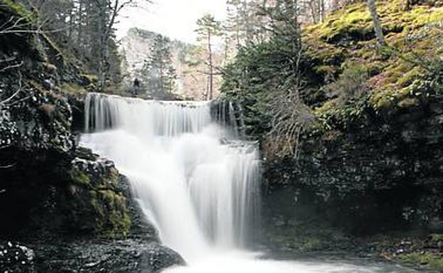 Imagen principal - Desde los Hoyos de Iregua y las cascadas de Puente Ra, los ríos definen los paisajes alpinos de Cebollera. 