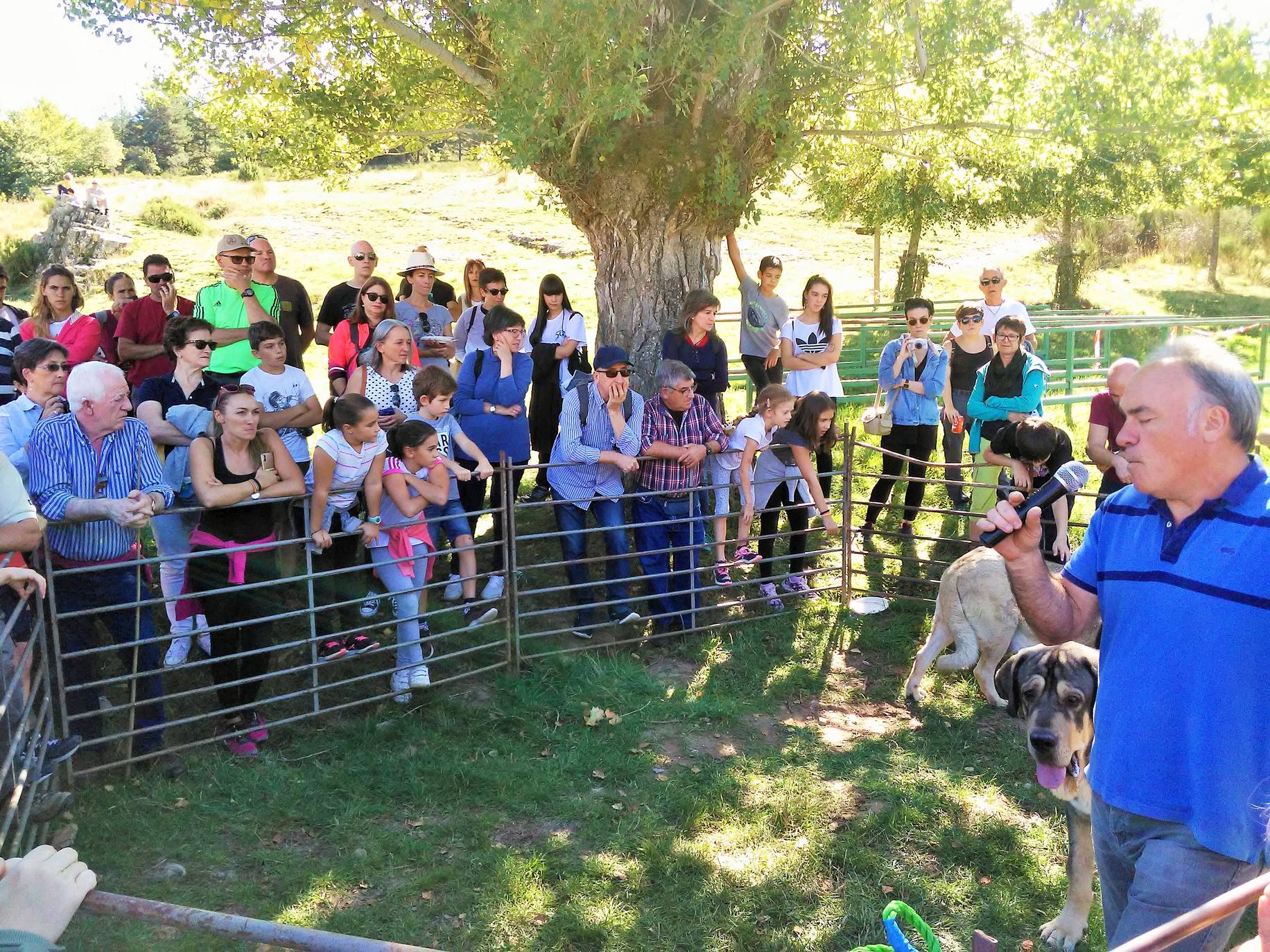 Fiesta de la Trashumancia en Brieva