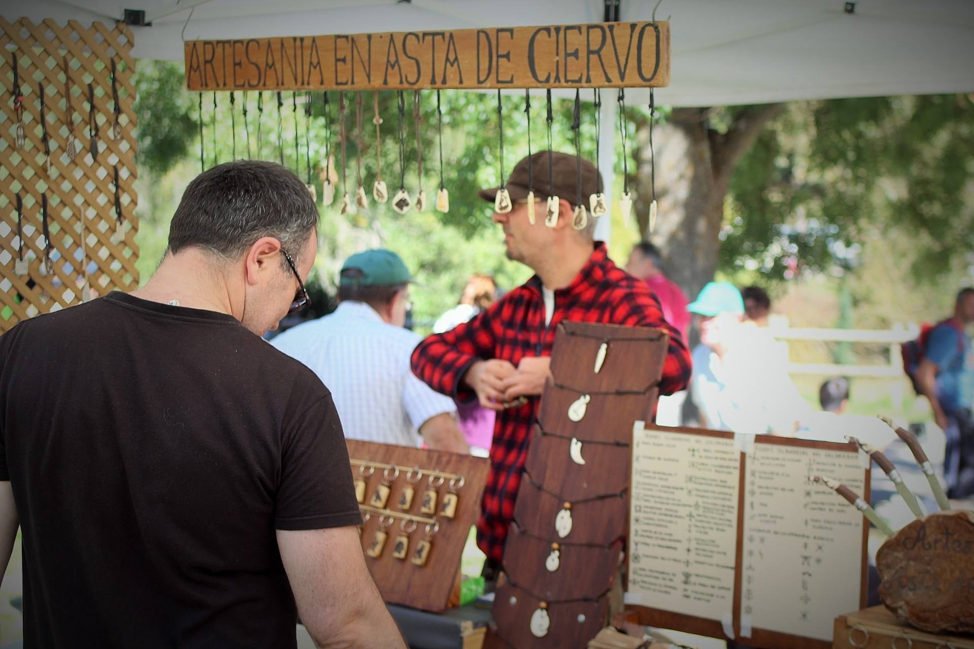 Fiesta de la Trashumancia en Brieva