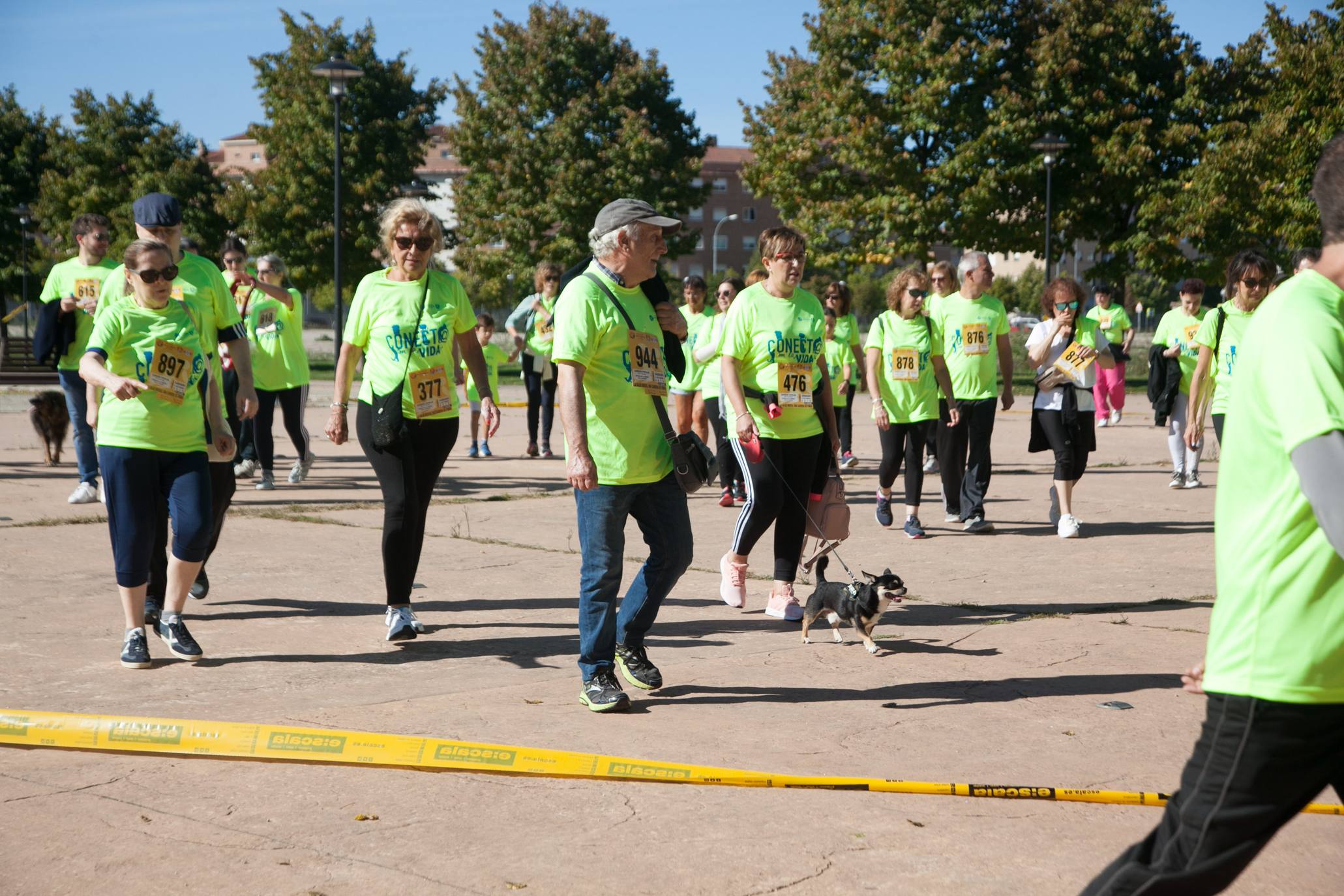 V Carrera por la Salud Mental de Logroño