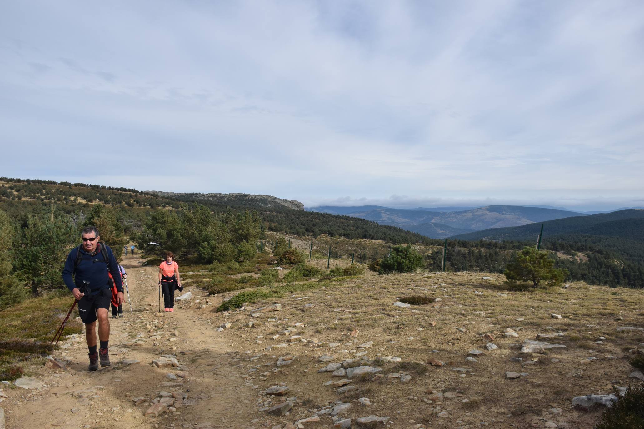 Marcha de Hoyos de Iregua (II)