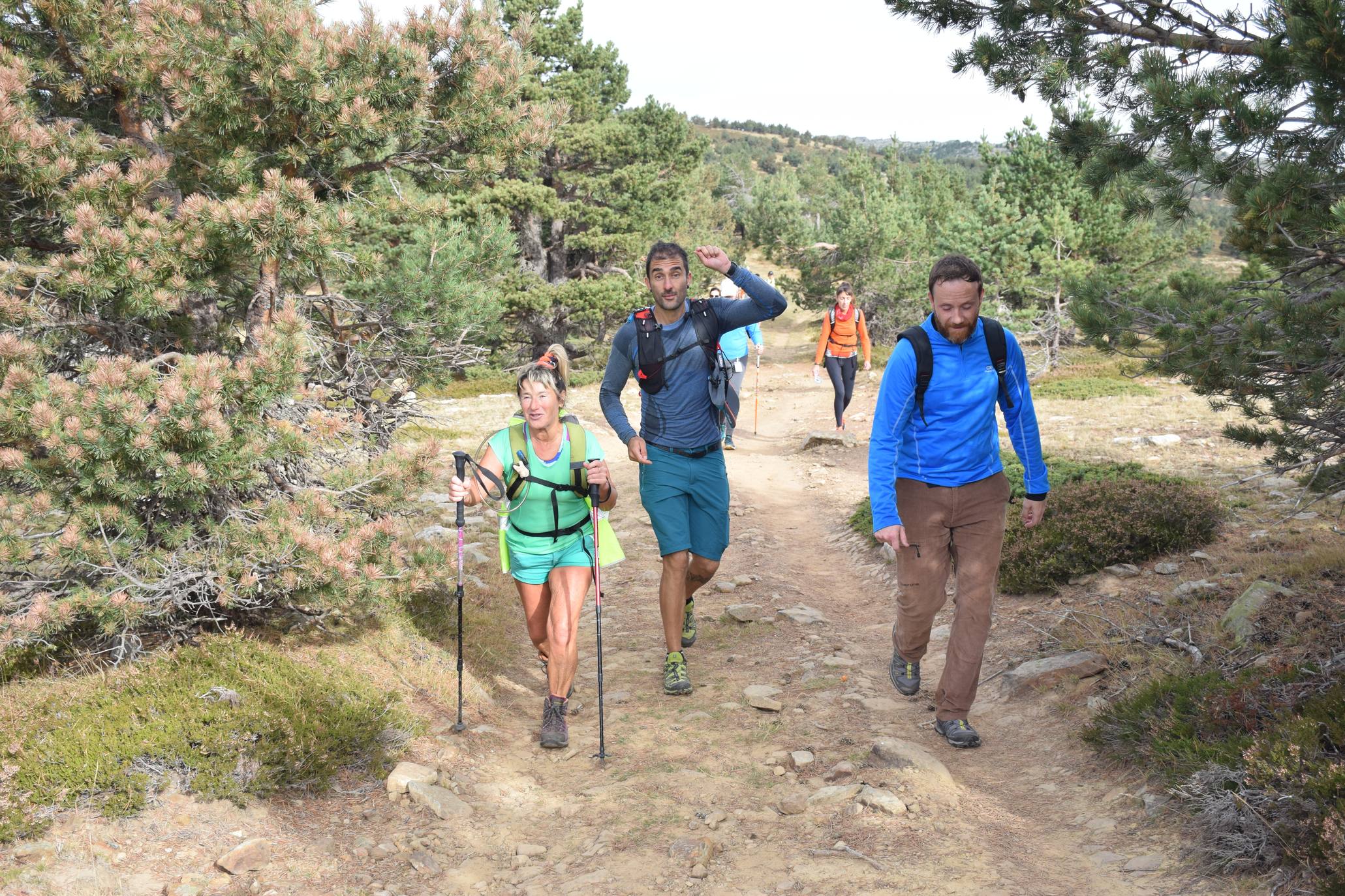 Marcha de Hoyos de Iregua (II)