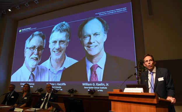 Thomas Perlmann (D), Secretario del Comité Nobel, habla mientras se anuncian los ganadores del Premio Nobel de Fisiología o Medicina 2019.