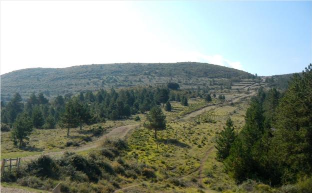 Imagen principal - Subida a Peña Aldera desde Logroño