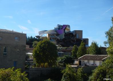 Imagen secundaria 1 - Vista de Elciego desde el barrio de las bodegas, edificio vanguardista de Marqués de Risal y uvas en una bodega