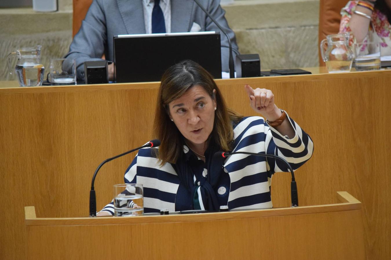 Sesión plenaria en el Parlamento de La Rioja. 