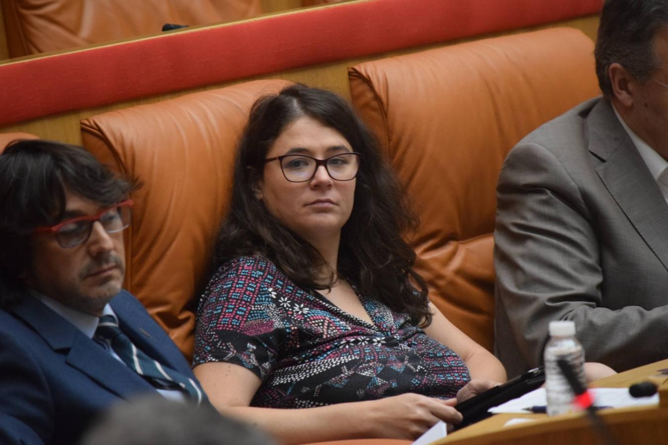 Sesión plenaria en el Parlamento de La Rioja. 