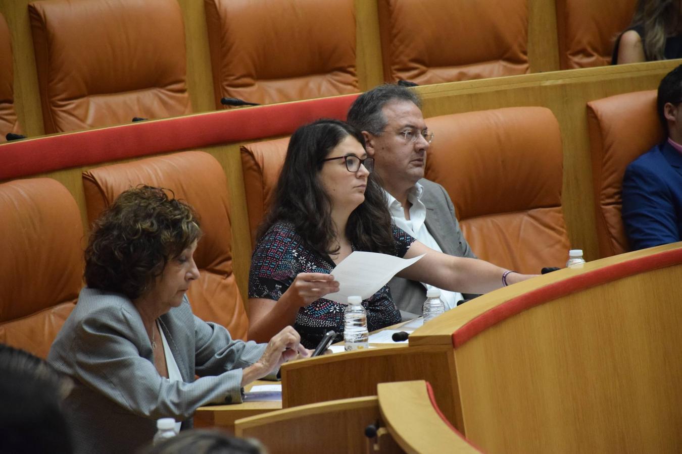 Sesión plenaria en el Parlamento de La Rioja. 