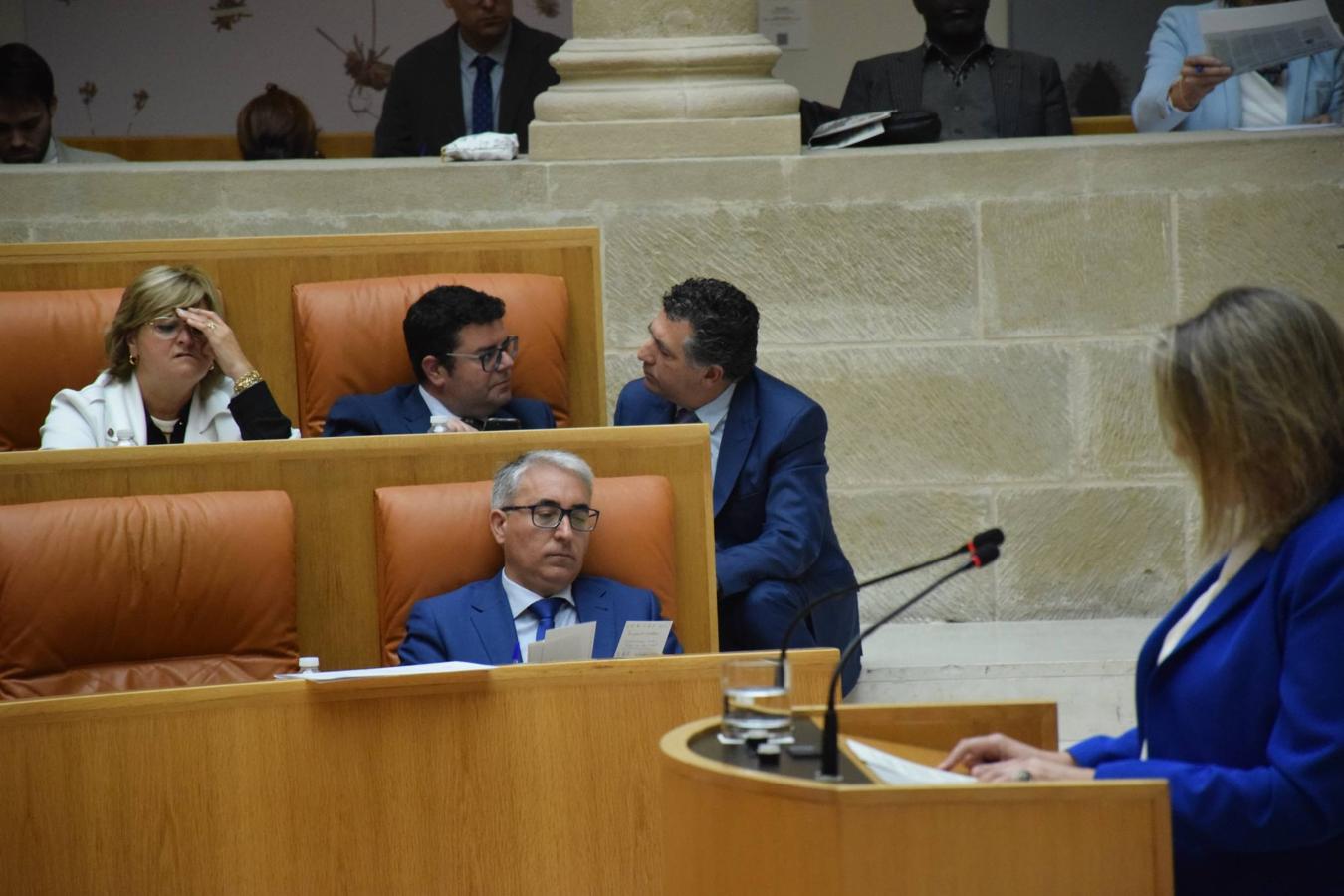 Sesión plenaria en el Parlamento de La Rioja. 