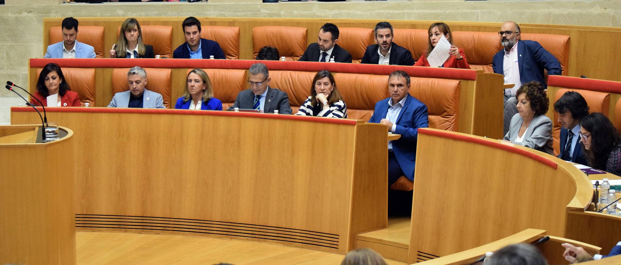 Sesión plenaria en el Parlamento de La Rioja. 