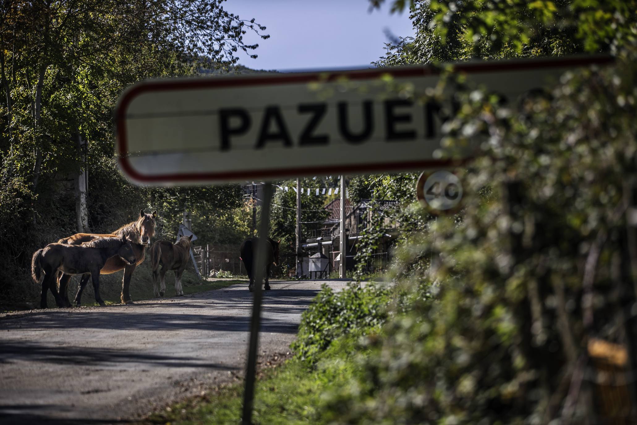 El Pazuengos de El Cid Campeador