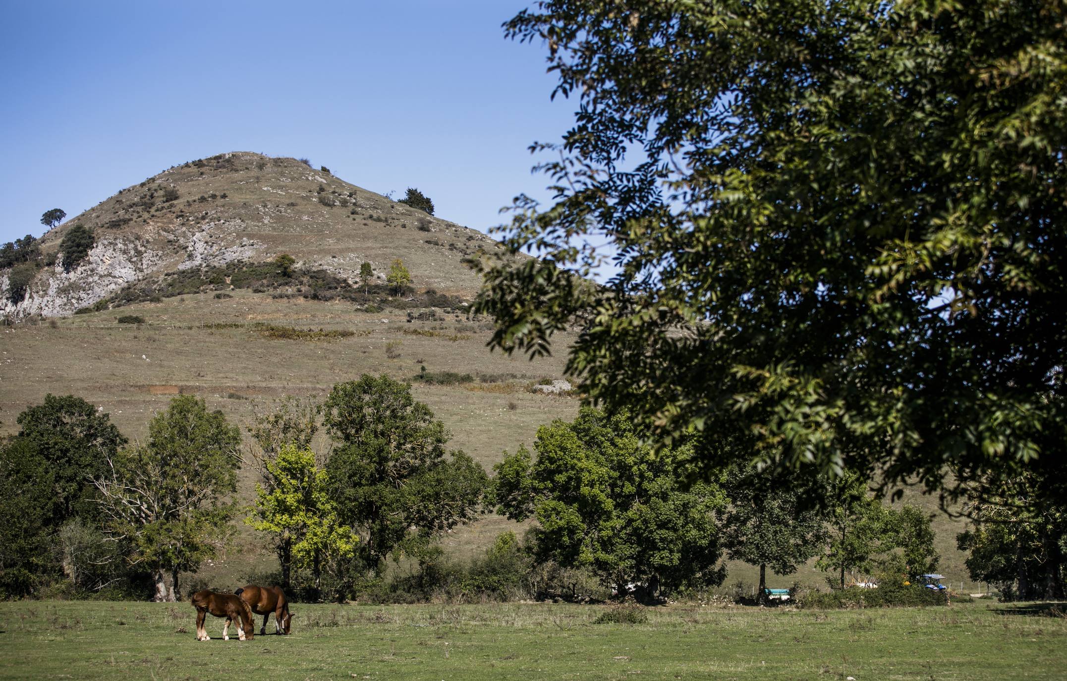 El Pazuengos de El Cid Campeador