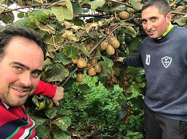 Roberto y Richar Pérez Viguera posan en la plantación de kiwis de Lardero. 