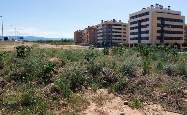 Zona no urbanizada del parque Juan Gispert