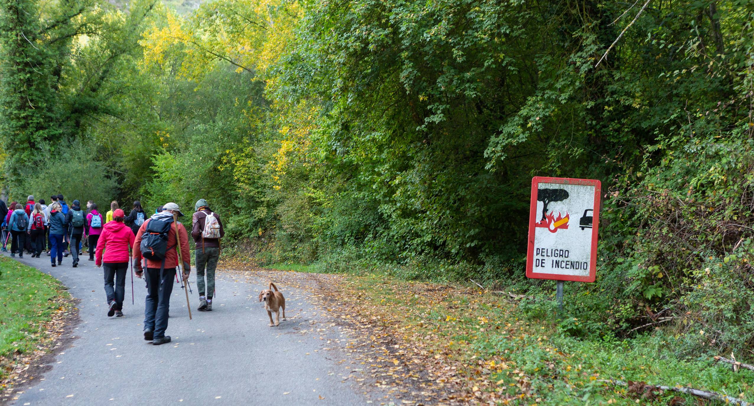 La marcha otoñal ha reunido a 450 senderistas 