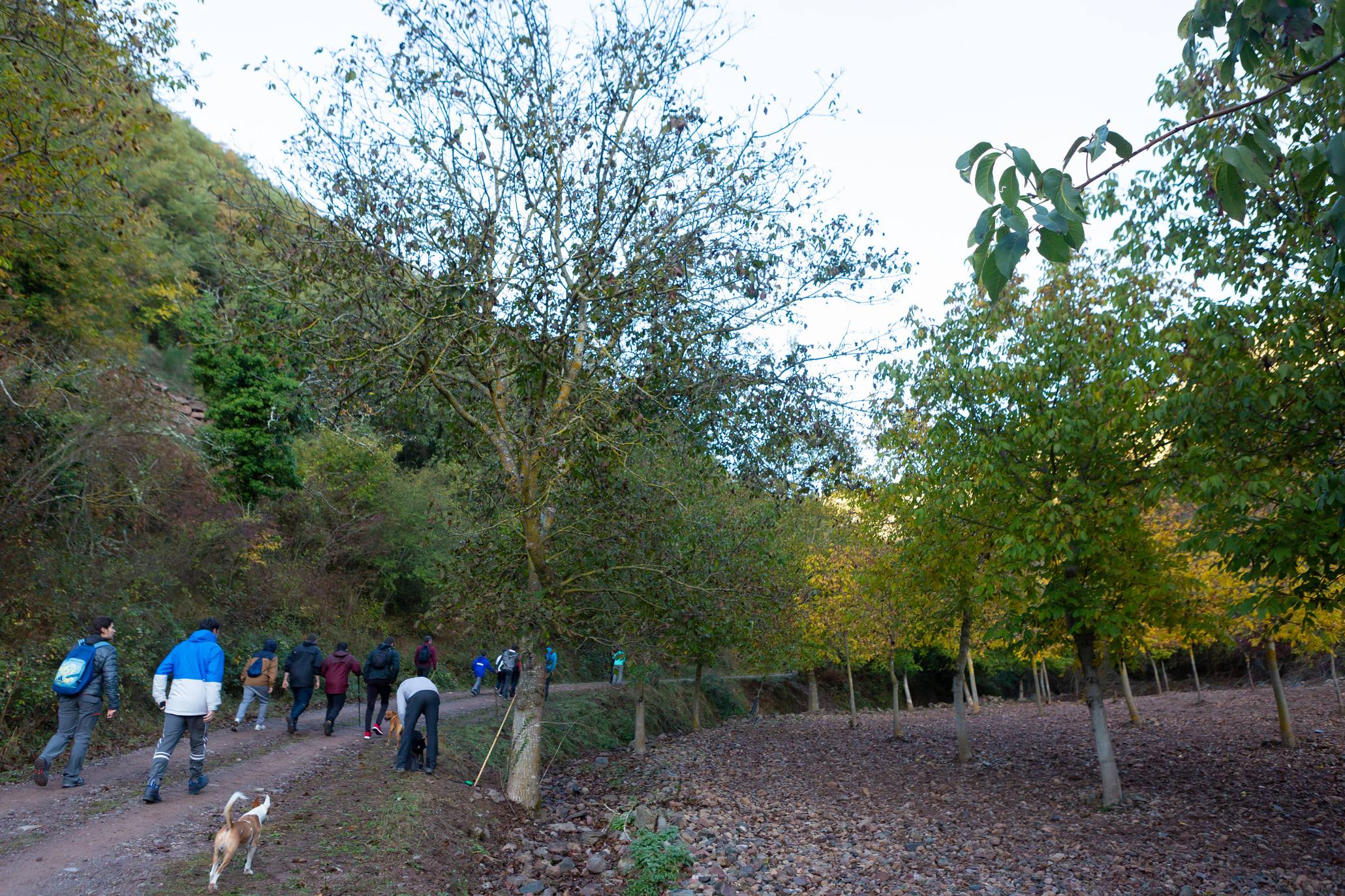 La marcha otoñal ha reunido a 450 senderistas 