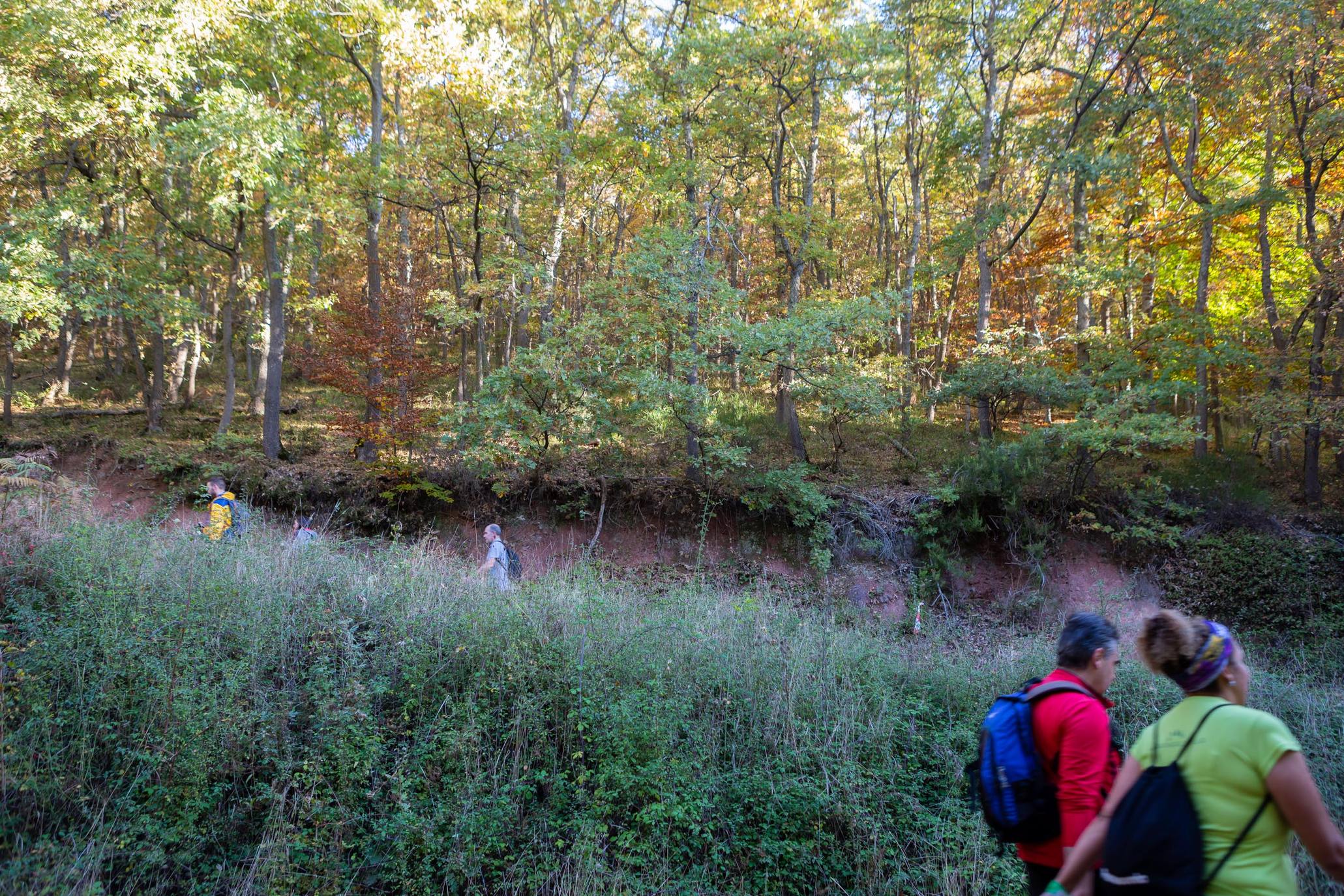 La marcha otoñal ha reunido a 450 senderistas 