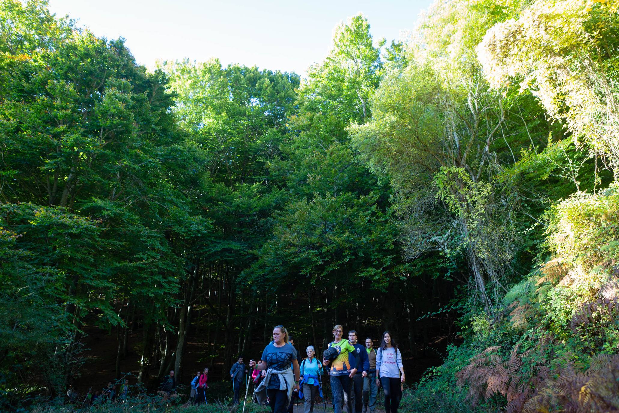 La marcha otoñal ha reunido a 450 senderistas 