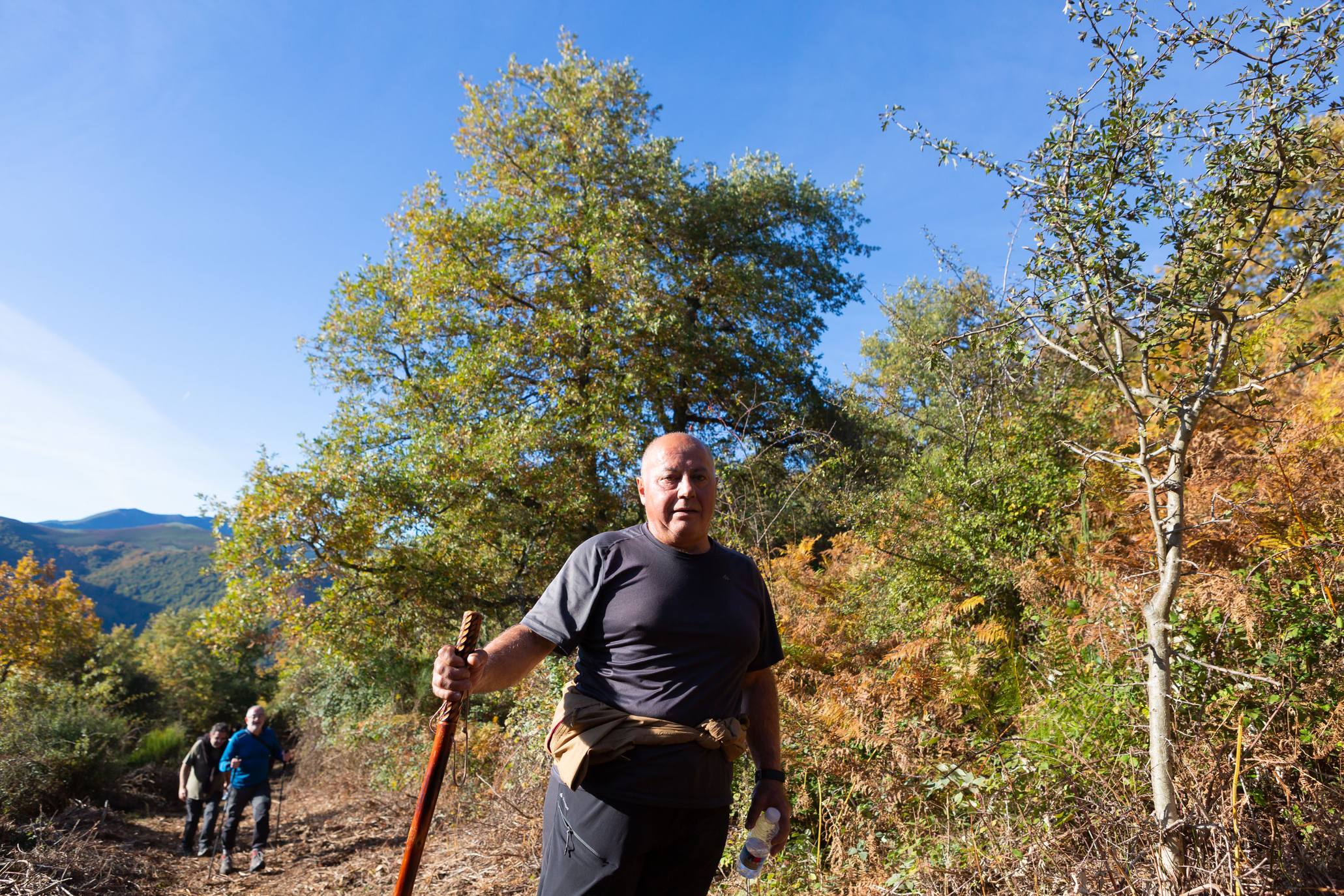 La marcha otoñal ha reunido a 450 senderistas 