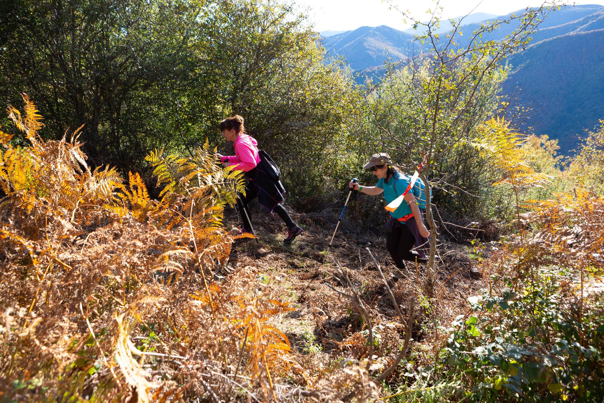 La marcha otoñal ha reunido a 450 senderistas 
