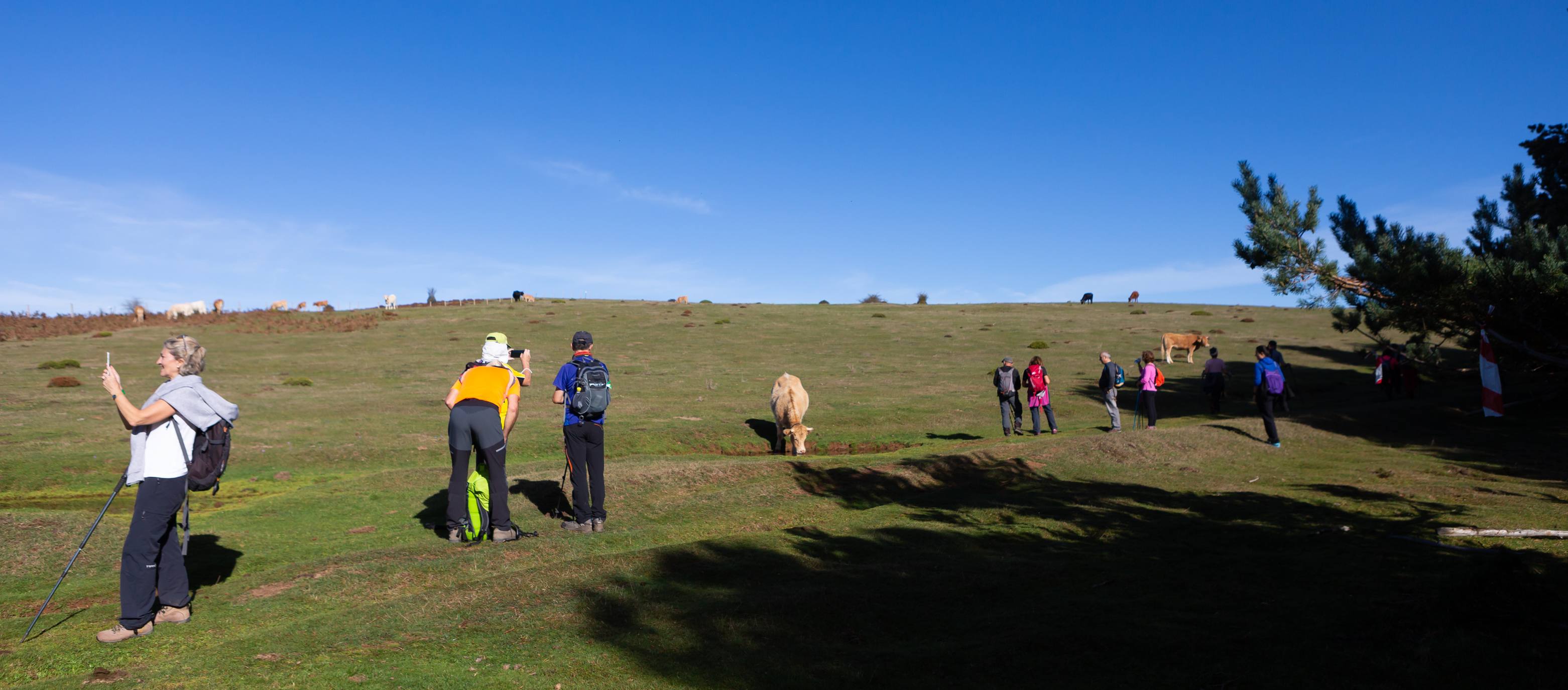 La marcha otoñal ha reunido a 450 senderistas 