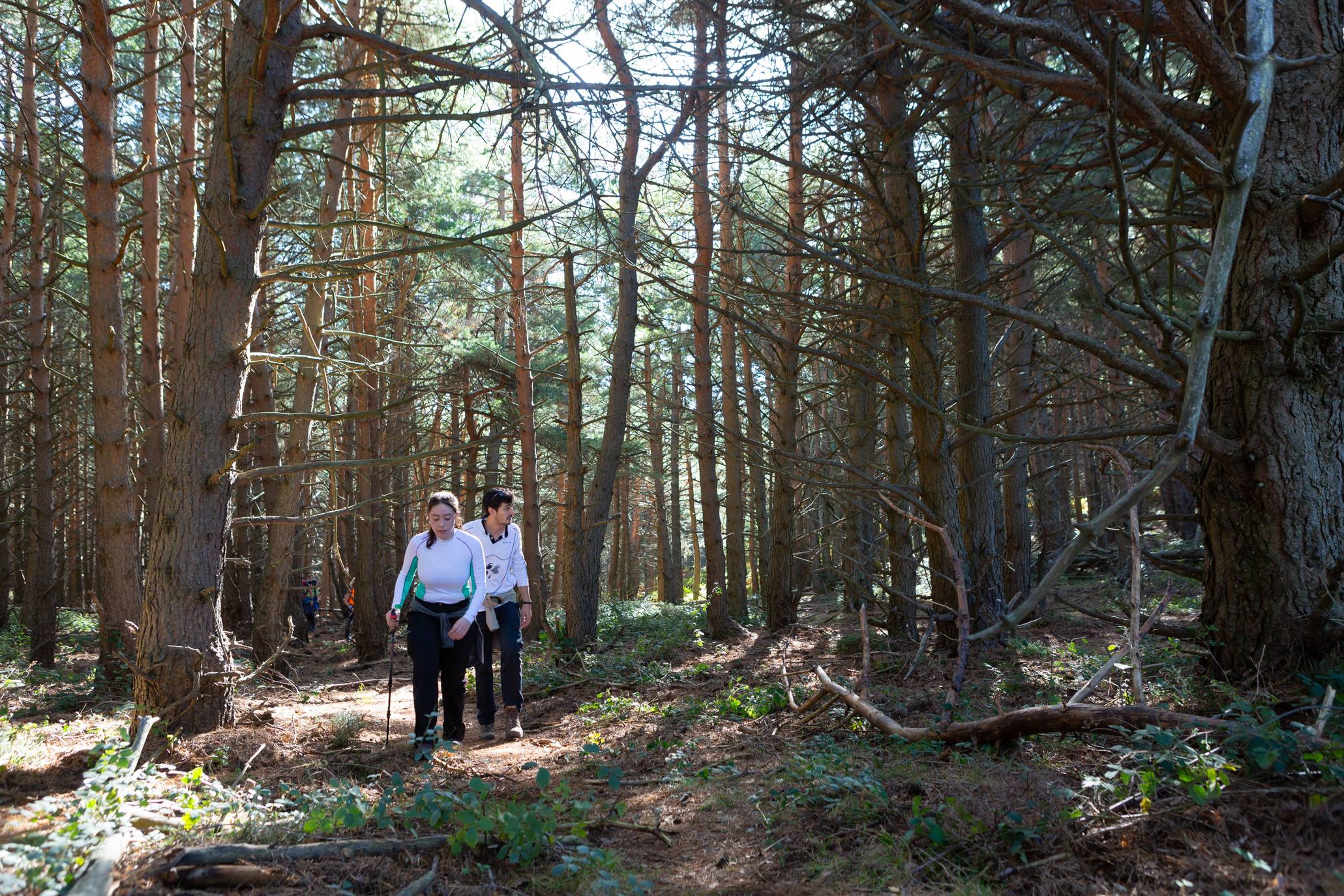 La marcha otoñal ha reunido a 450 senderistas 