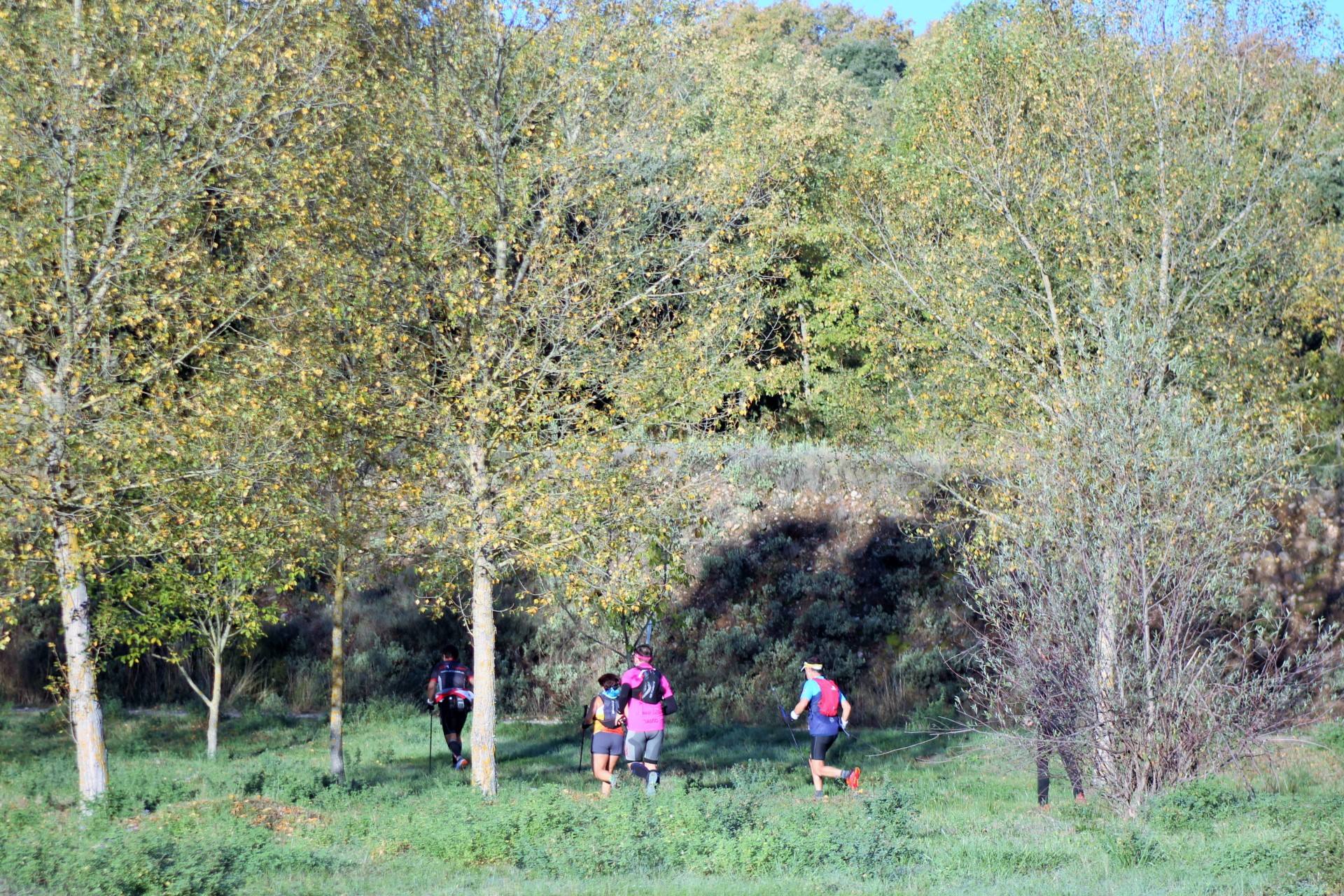La carrera de montaña por Moncalvillo ha reunido a cerca de 400 inscritos