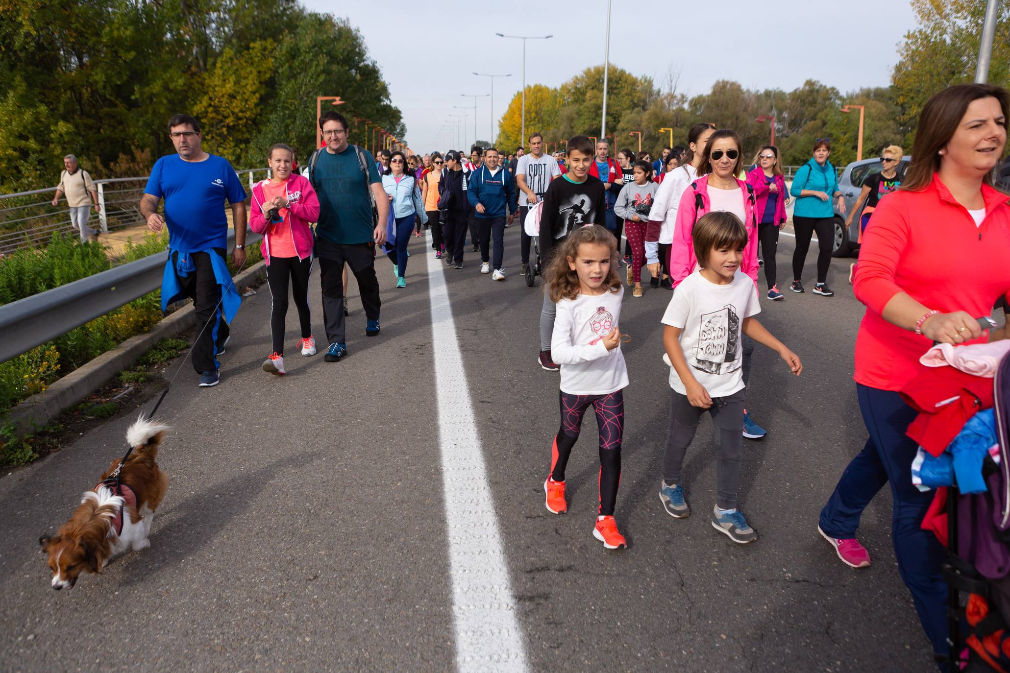 Los marchosos tienen que completar un recorrido llano de 19 kilómetros, desde la capital riojana hacia Villamediana de Iregua, Alberite y Lardero