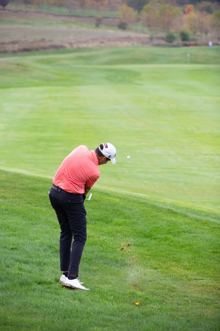 La cita se está celebrando en las instalaciones de El Campo de Logroño. 