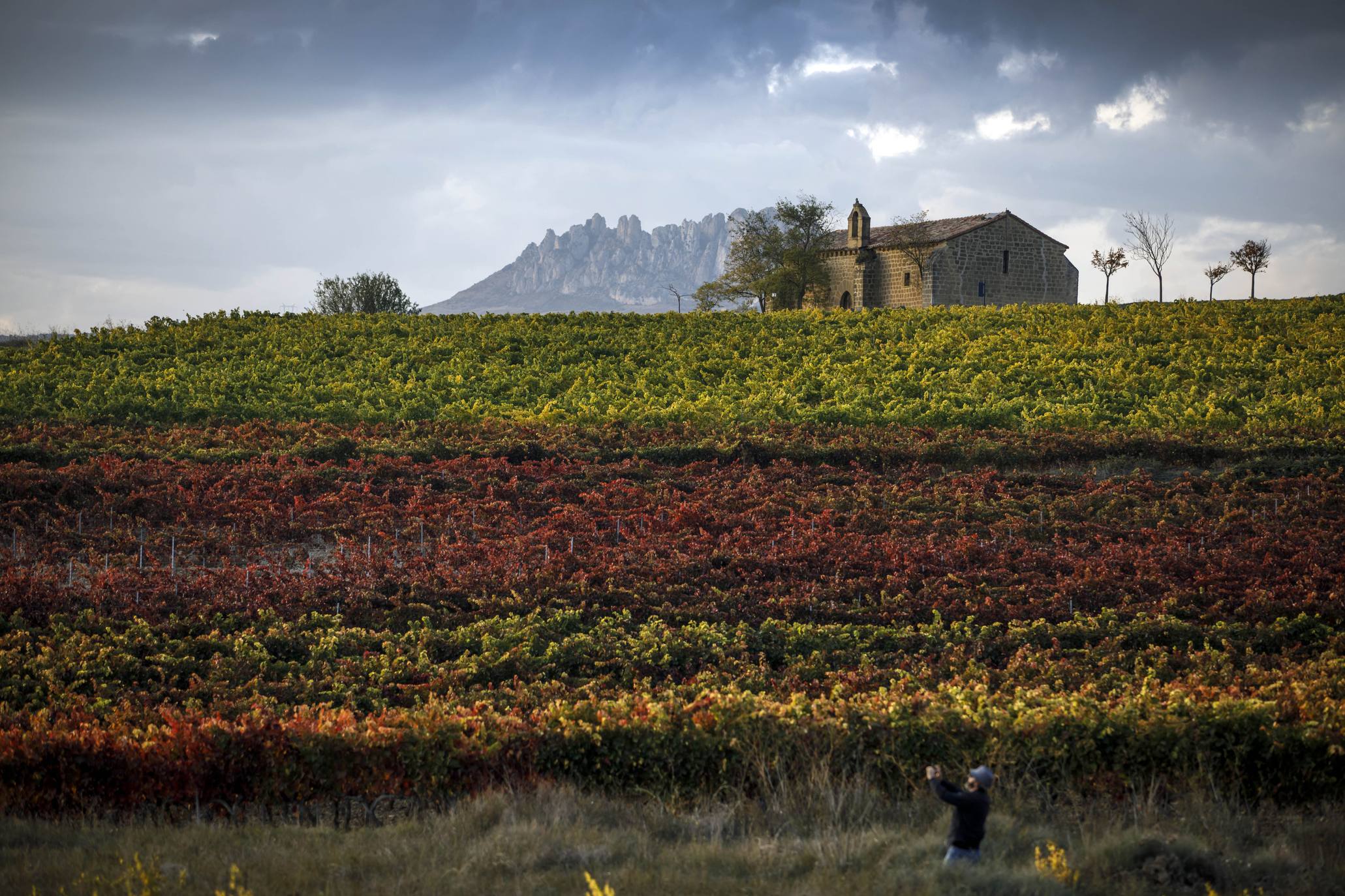 Gran variedad de colores en los viñedos de la región.