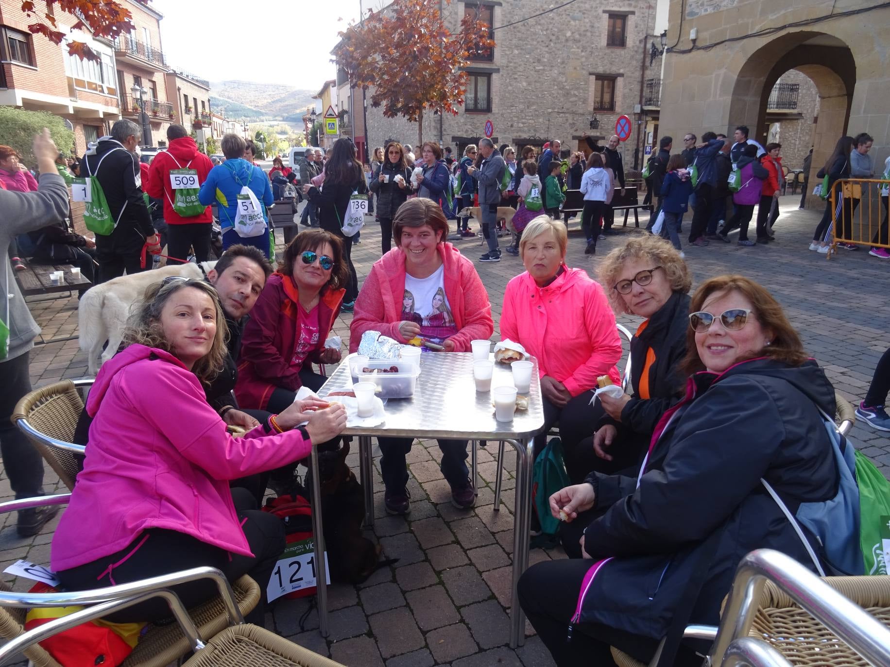 Paseo 'Por la vida', celebrado entre Santo Domingo de la Calzada y Santurde de Rioja, a beneficio de la AECC de La Rioja