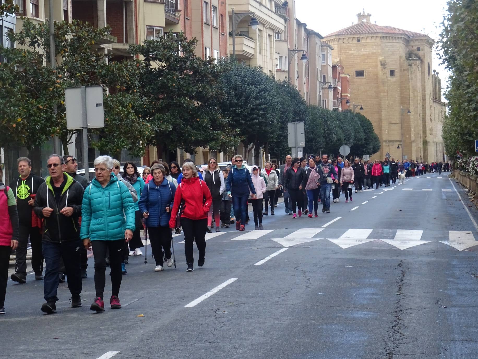 Paseo 'Por la vida', celebrado entre Santo Domingo de la Calzada y Santurde de Rioja, a beneficio de la AECC de La Rioja