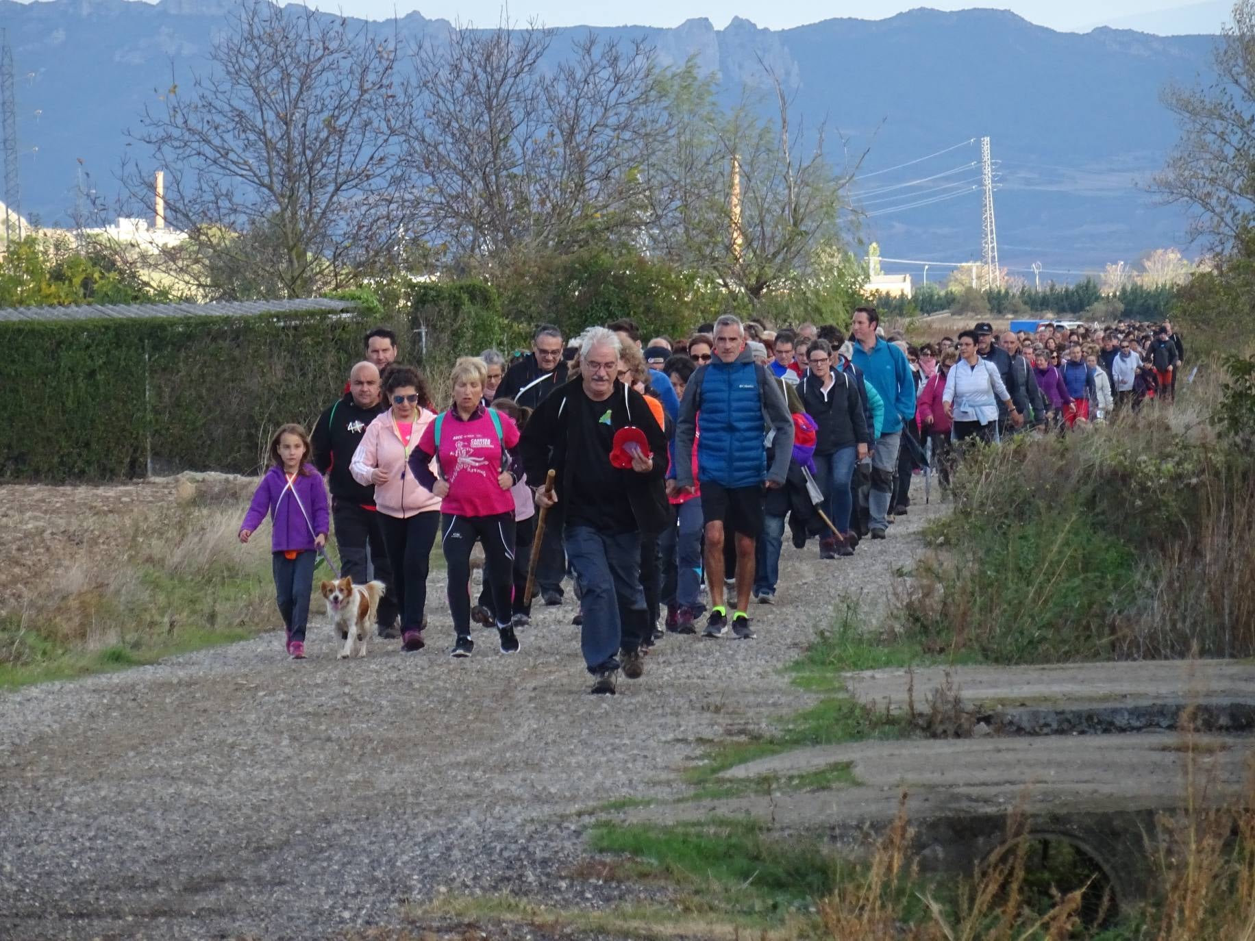 Paseo 'Por la vida', celebrado entre Santo Domingo de la Calzada y Santurde de Rioja, a beneficio de la AECC de La Rioja