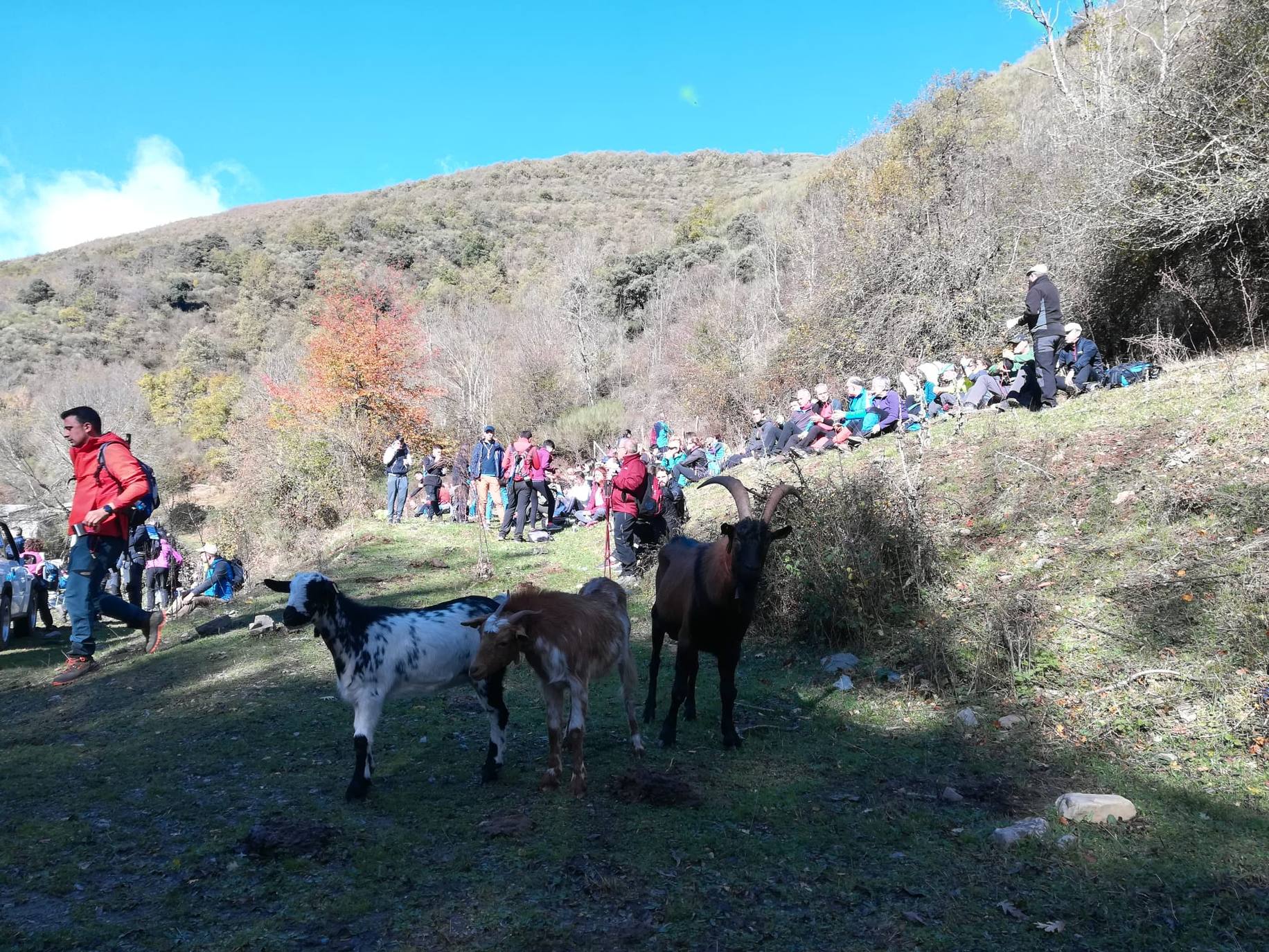 La Valvanerada Scout llega emocionada a su destino