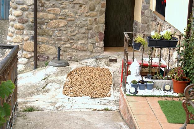 Una pequeña cantidad de nueces se secan al aire y el sol en Pedroso.