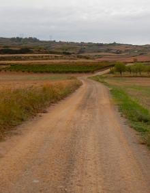 Imagen secundaria 2 - Ruinas de San Prudencio, sendero de aproximación y camino entre Ribafrecha y Alberite