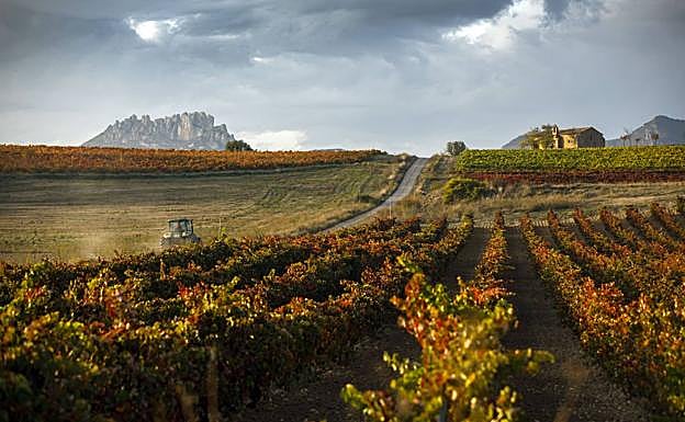 10 paisajes de otoño en La Rioja | La Rioja