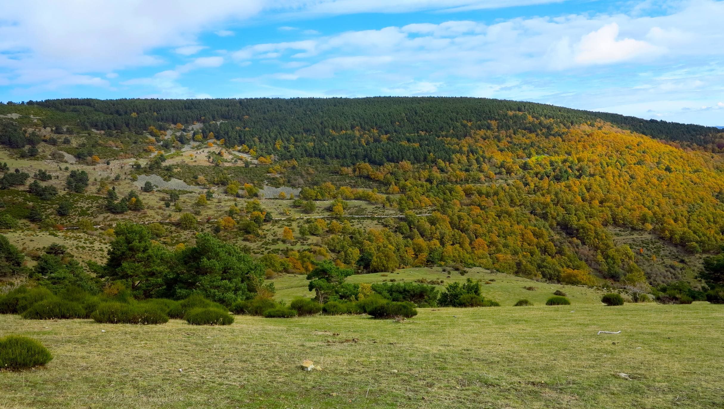 Con el temporal arreciando, el otoño da sus últimos suspiros en los Cameros riojanos dejando como testimonio bonitas estampas de bosques encendidos en llamativos colores. Un lujo para el paseo y la fotografía