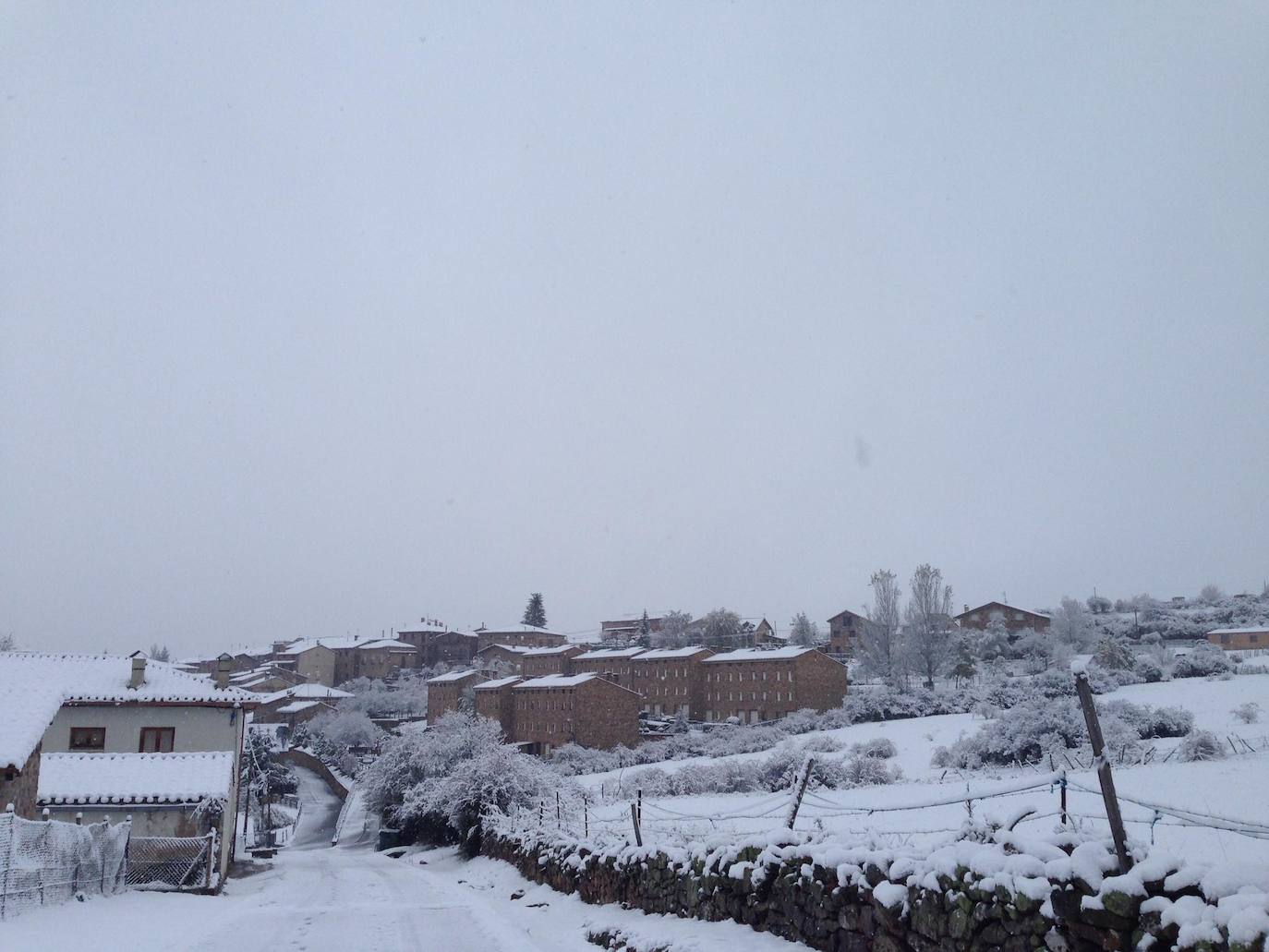 Los Cameros han amanecido esta mañana con una capa de nieve de entre 10 y 15 centímetros. Un paisaje blanco que ha dejado algunas de las primeras imágenes invernales de esta temporada y, no cabe duda, estampas muy bonitas