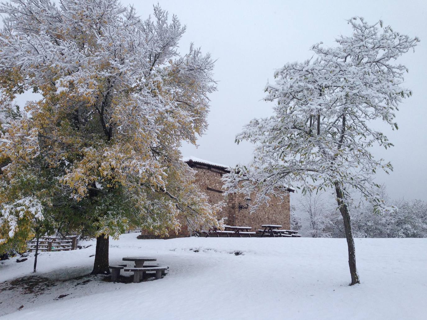 Los Cameros han amanecido esta mañana con una capa de nieve de entre 10 y 15 centímetros. Un paisaje blanco que ha dejado algunas de las primeras imágenes invernales de esta temporada y, no cabe duda, estampas muy bonitas