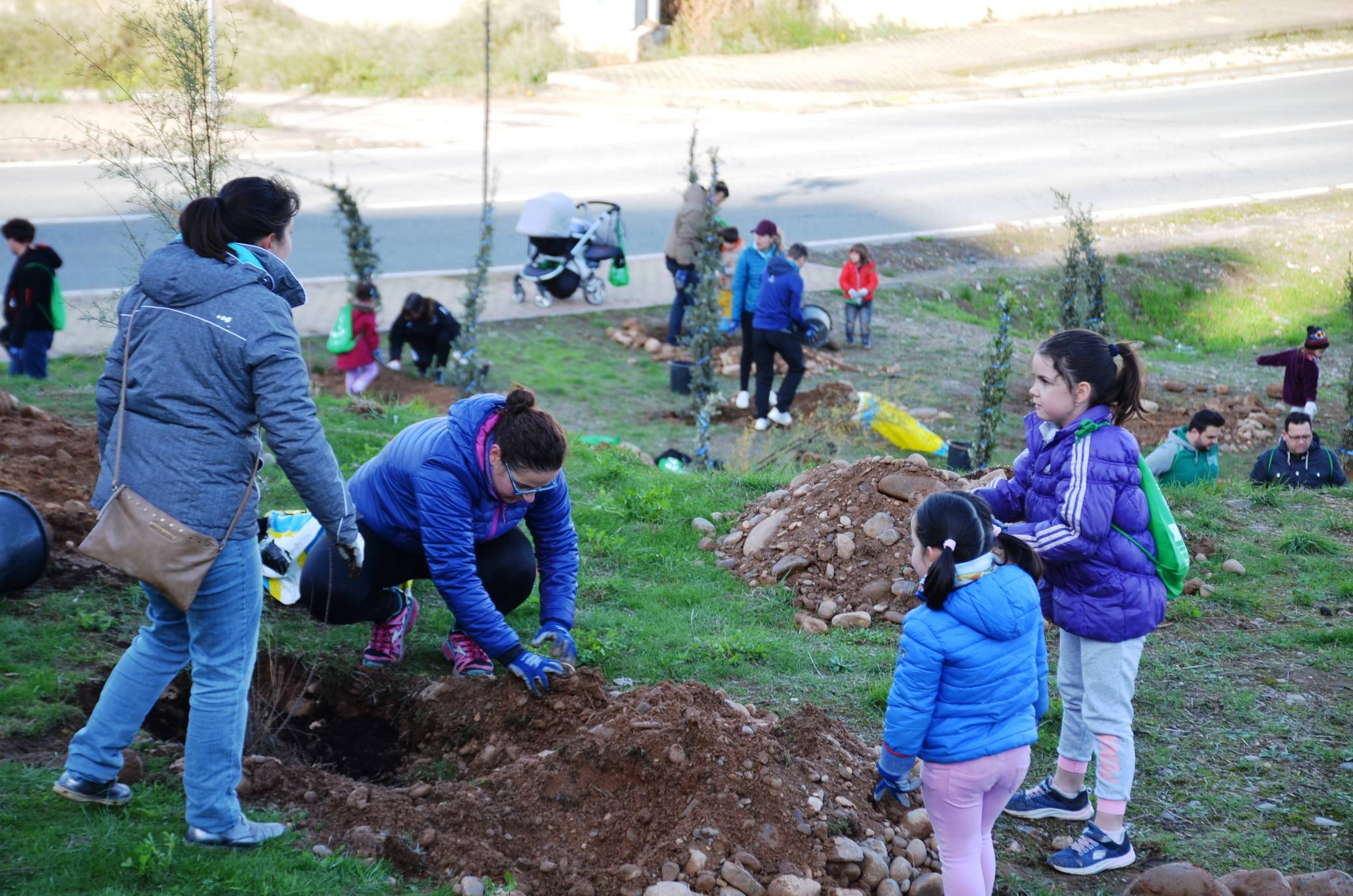 Numerosos grupos de amigos y familias plantaron los árboles en una ladera de la carretera de Murillo