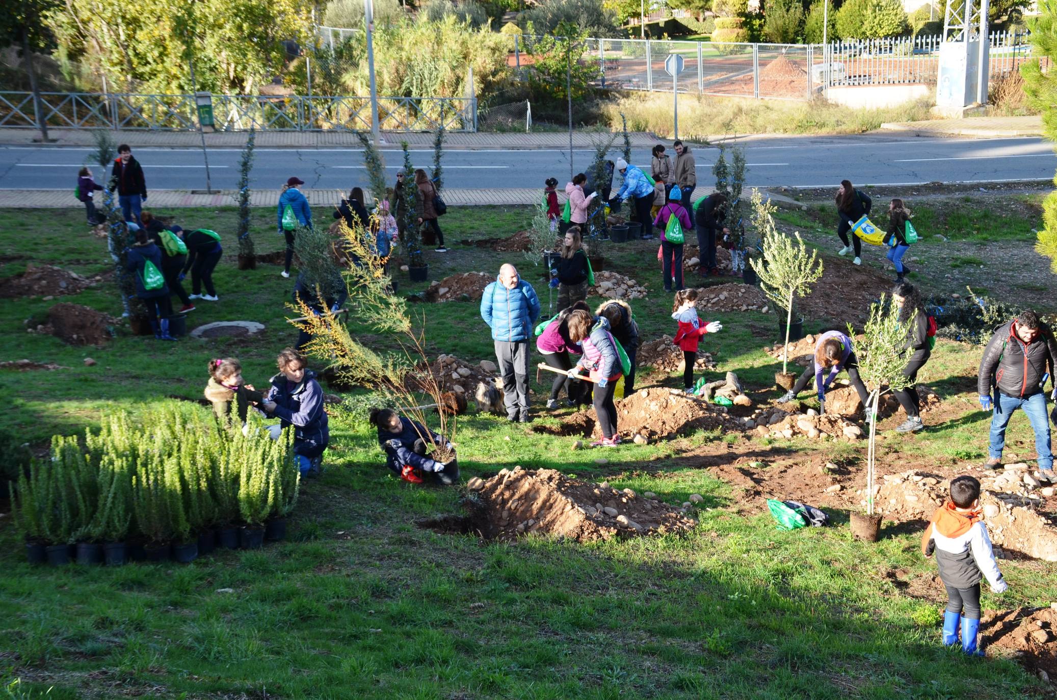 Numerosos grupos de amigos y familias plantaron los árboles en una ladera de la carretera de Murillo