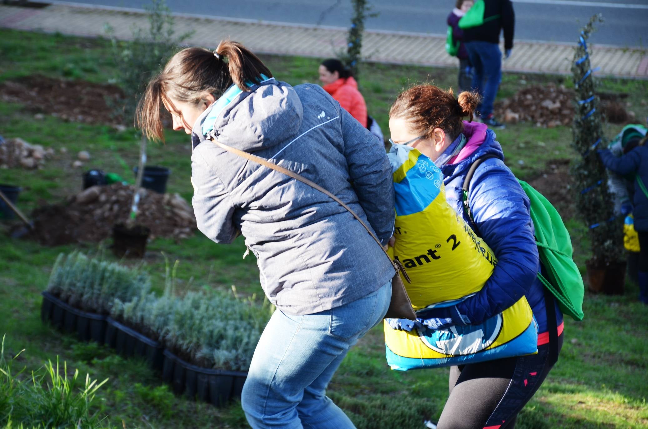 Numerosos grupos de amigos y familias plantaron los árboles en una ladera de la carretera de Murillo