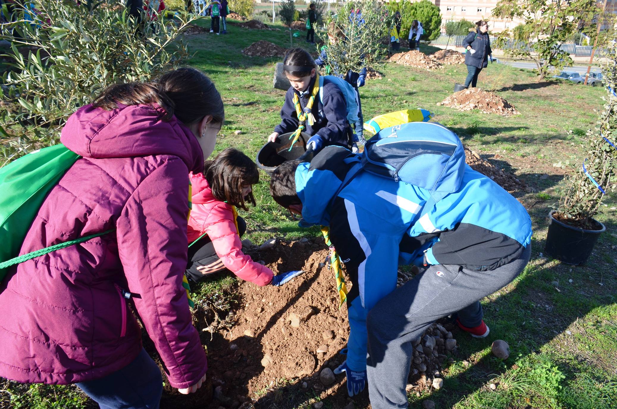 Numerosos grupos de amigos y familias plantaron los árboles en una ladera de la carretera de Murillo