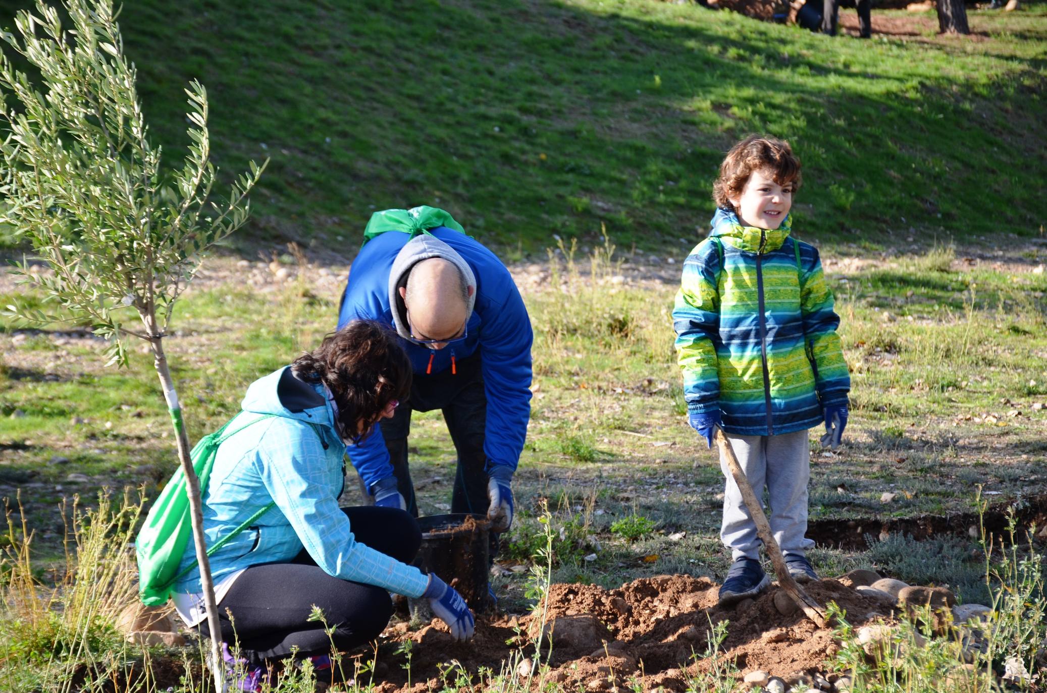 Numerosos grupos de amigos y familias plantaron los árboles en una ladera de la carretera de Murillo