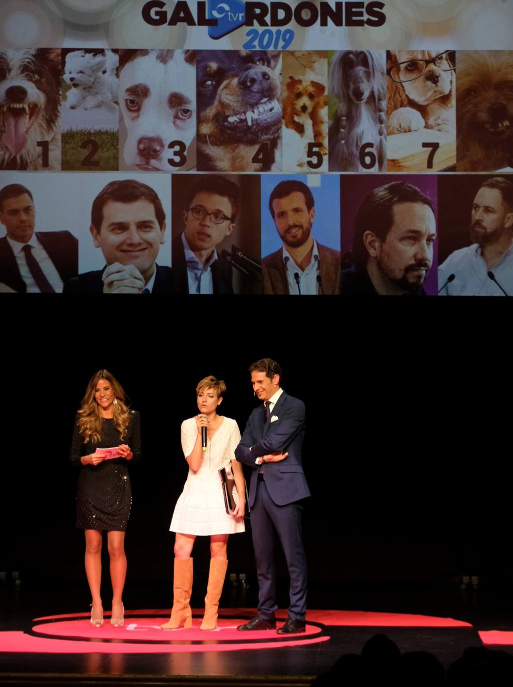 TVR entrega sus premios