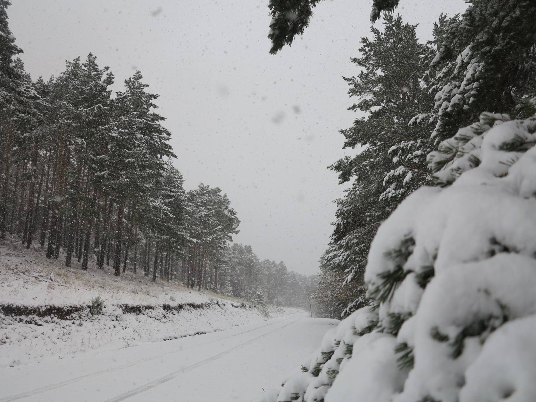 Fotos: Nieve en El Rasillo