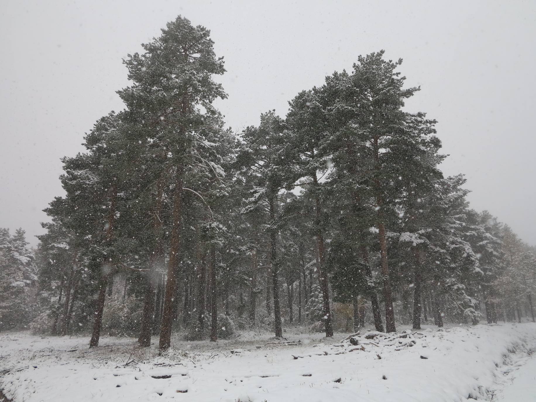 Fotos: Nieve en El Rasillo